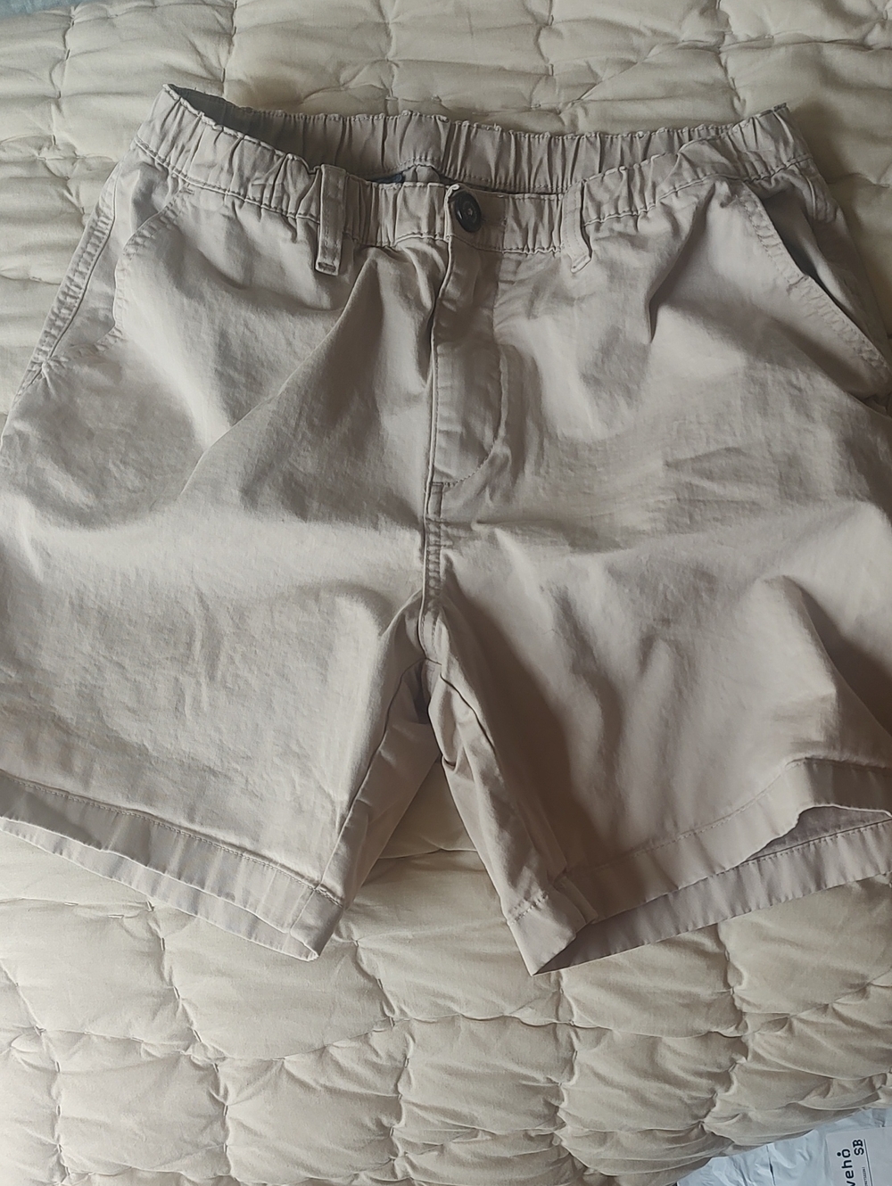chubbies Light Beige Flat Front Men's Shorts